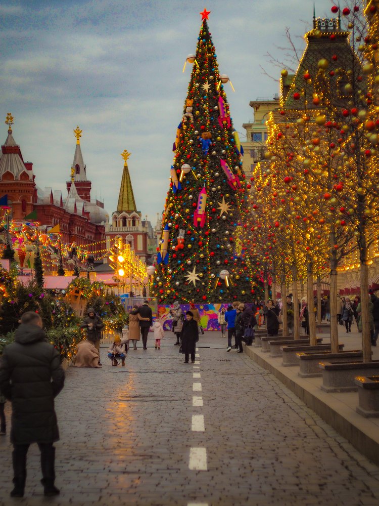 Photograph by Александр Устинов