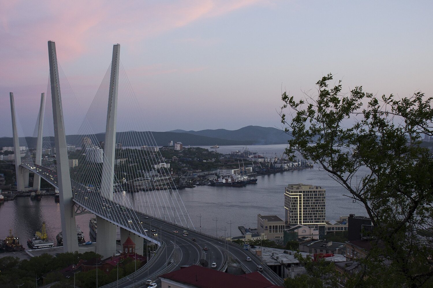 Photo #4128827