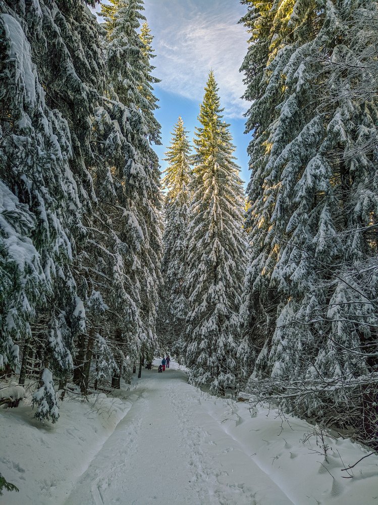 walk in the mountains