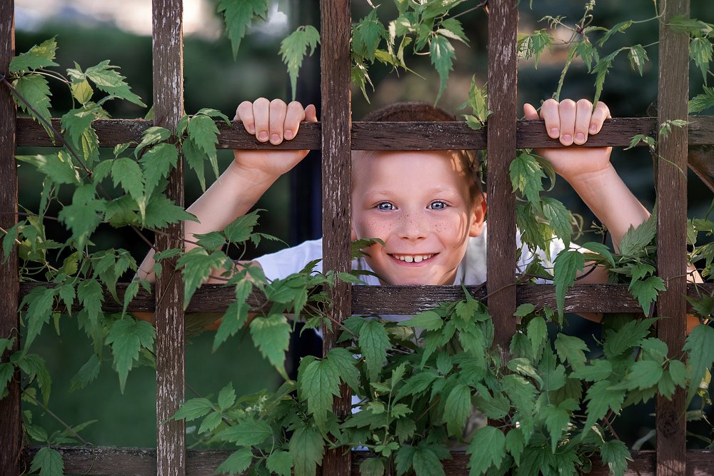 Photograph by Алла Менькова