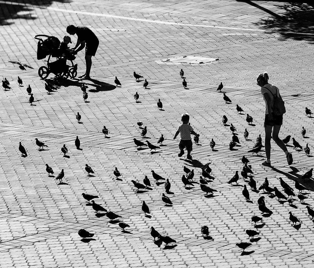 Photograph by Артем Воробьев