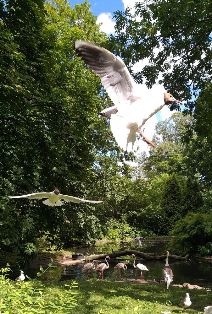 Photograph by Юлия Суздальцева