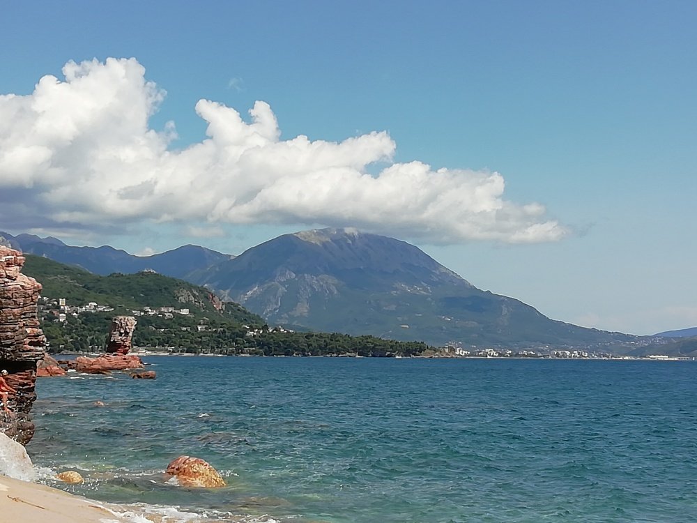 Фотография автора Biljana Janković Veličković