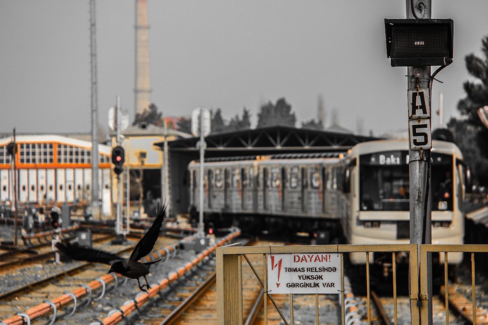 Photograph by Магеррам Меджидов