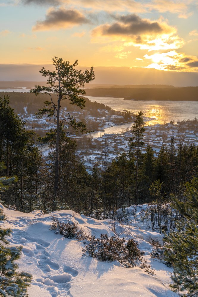 Photograph by Павел Шемякин