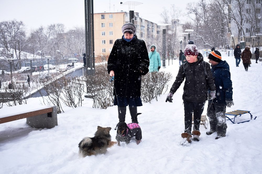 Рождественский снег .