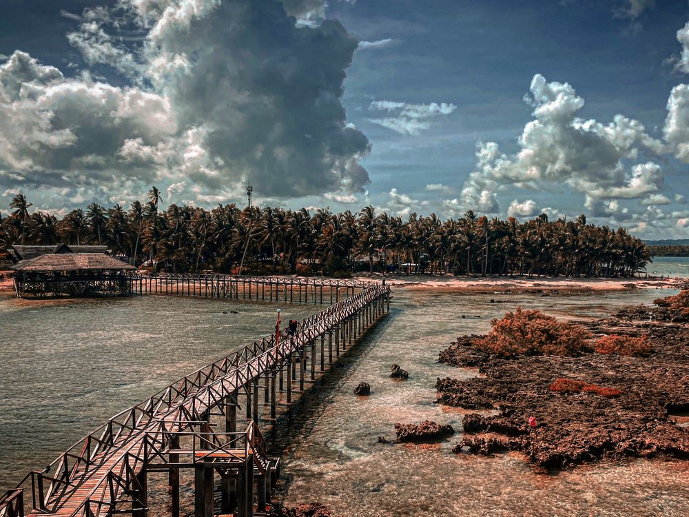 Photograph by Gerald Ching