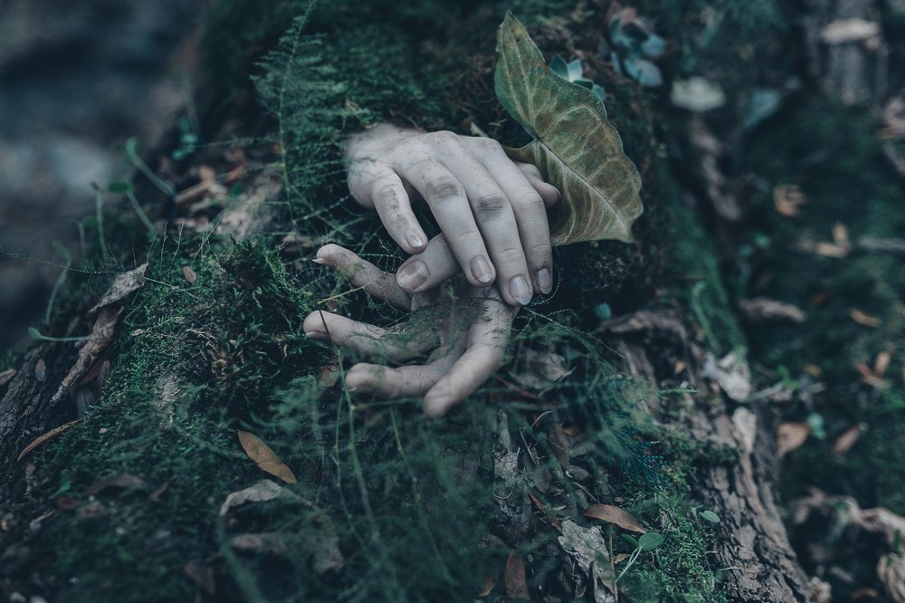 Photograph by Вероника Гергерт