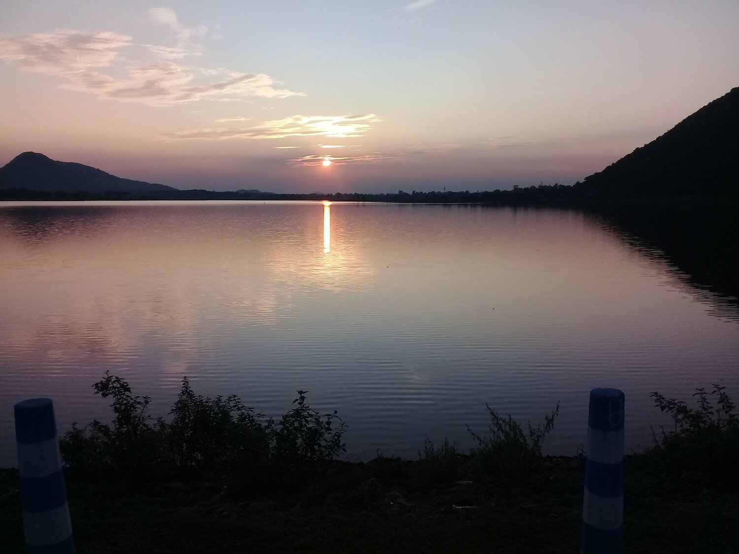 Photo #4129625