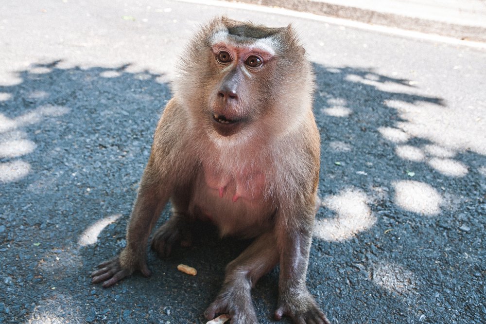 Photograph by Бакеева Анна