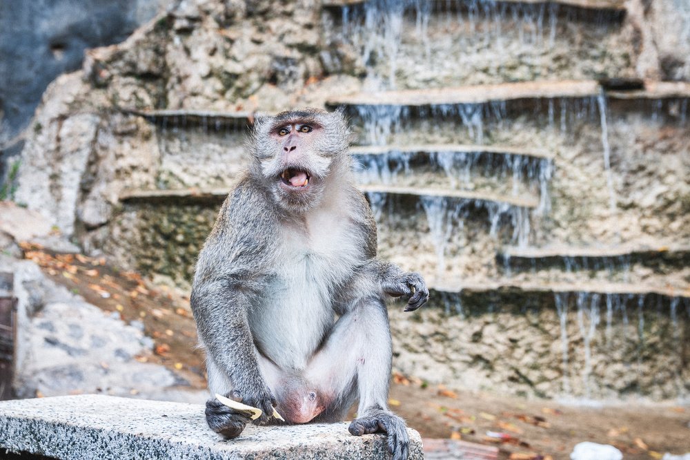 Photograph by Бакеева Анна