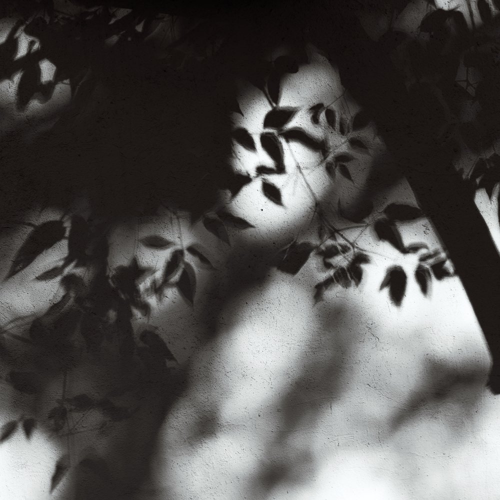 Photograph by Ольга Воронова