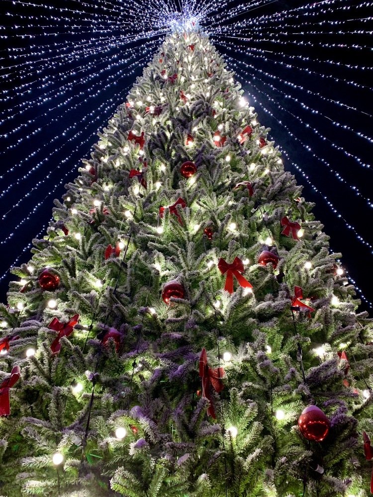 Новогодняя елка