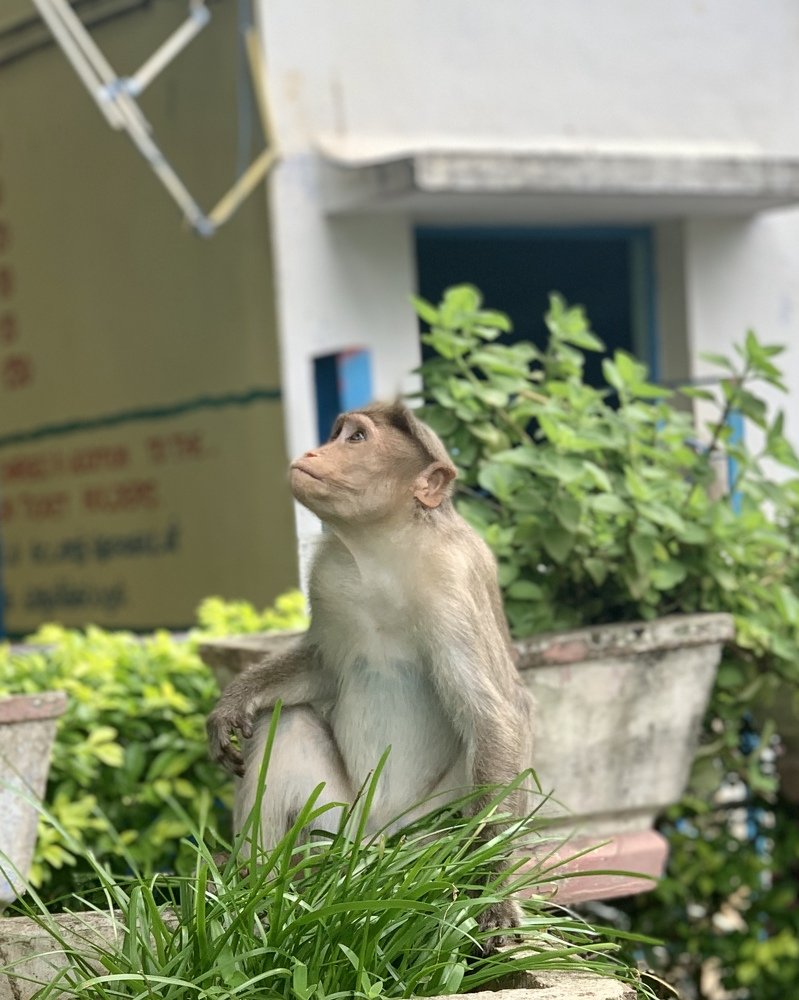 Photograph by Dineshprabu S