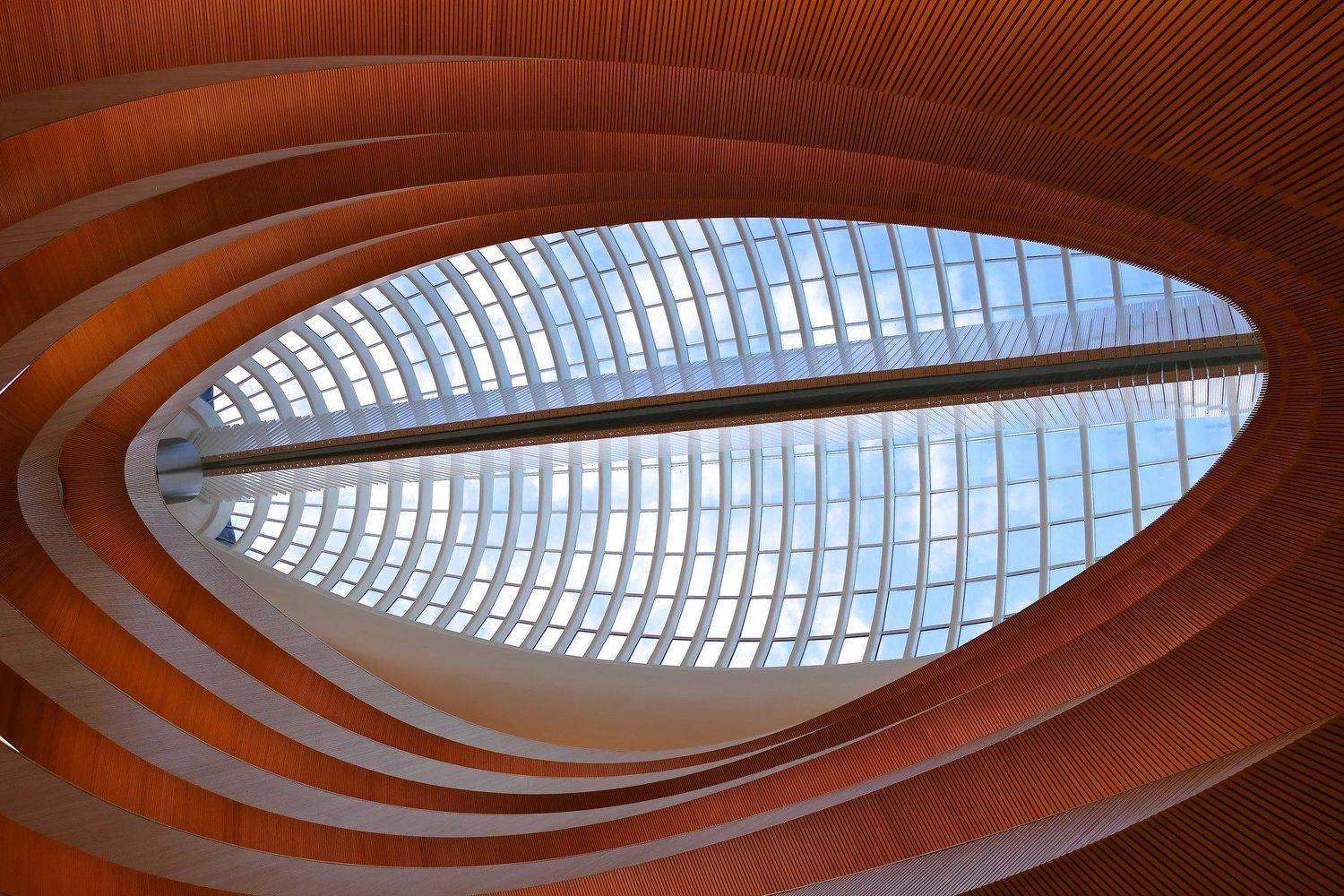 In the geometric world
