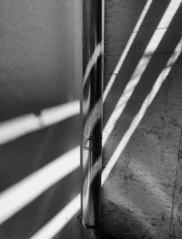 Photograph by Toth Csongor