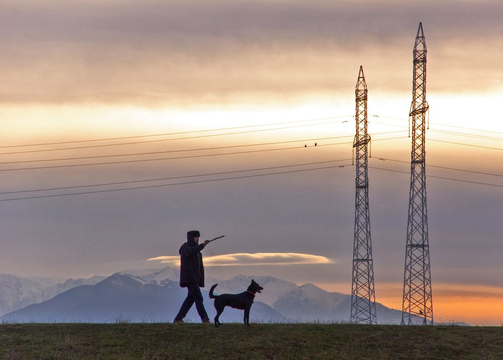 Photograph by Toth Csongor