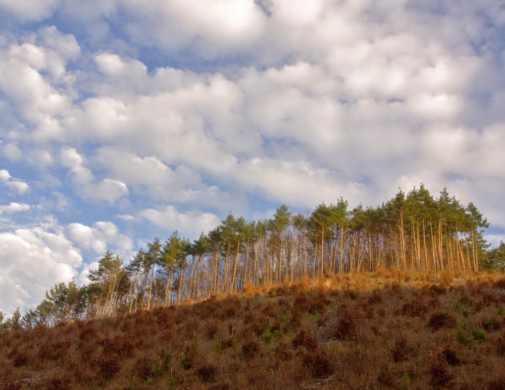 Photograph by Toth Csongor