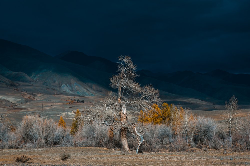 Фотография автора Алексей Новиков