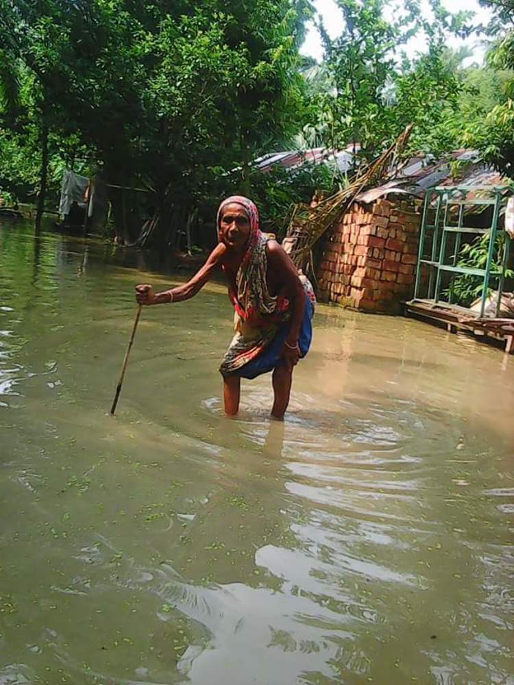Water Logging