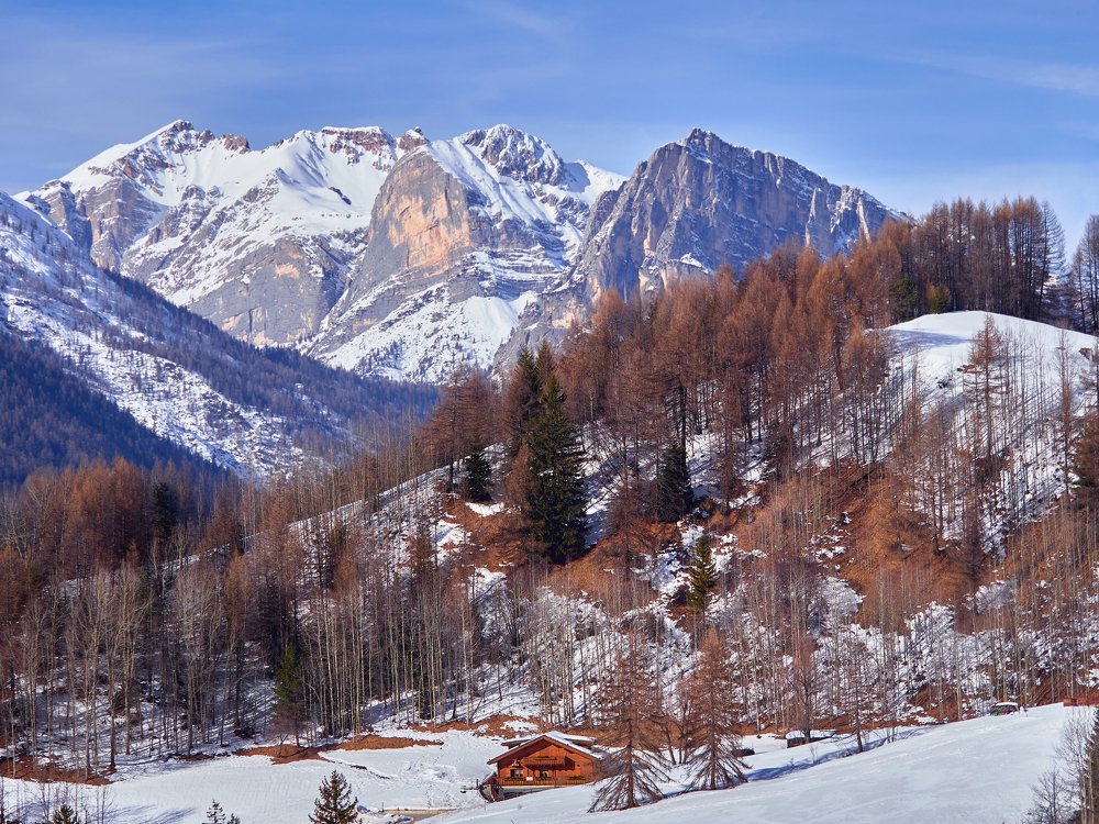 Photograph by Алексей Горшенин