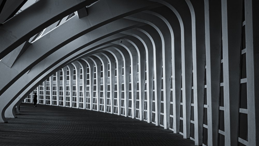 Photograph by Miguel Castells