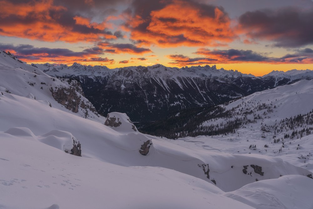 Photograph by Martin Rasom