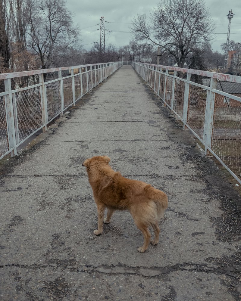 Photograph by Никита Васильев