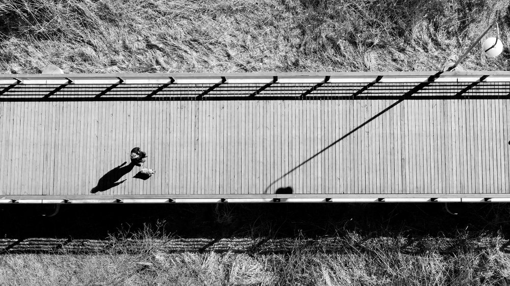 Photograph by Александр Абросимов