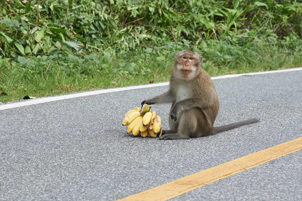 Photograph by Владимир Малевич