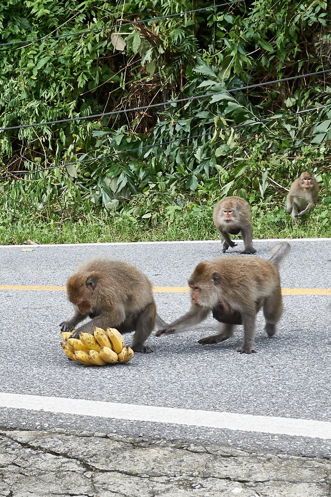 Photograph by Владимир Малевич
