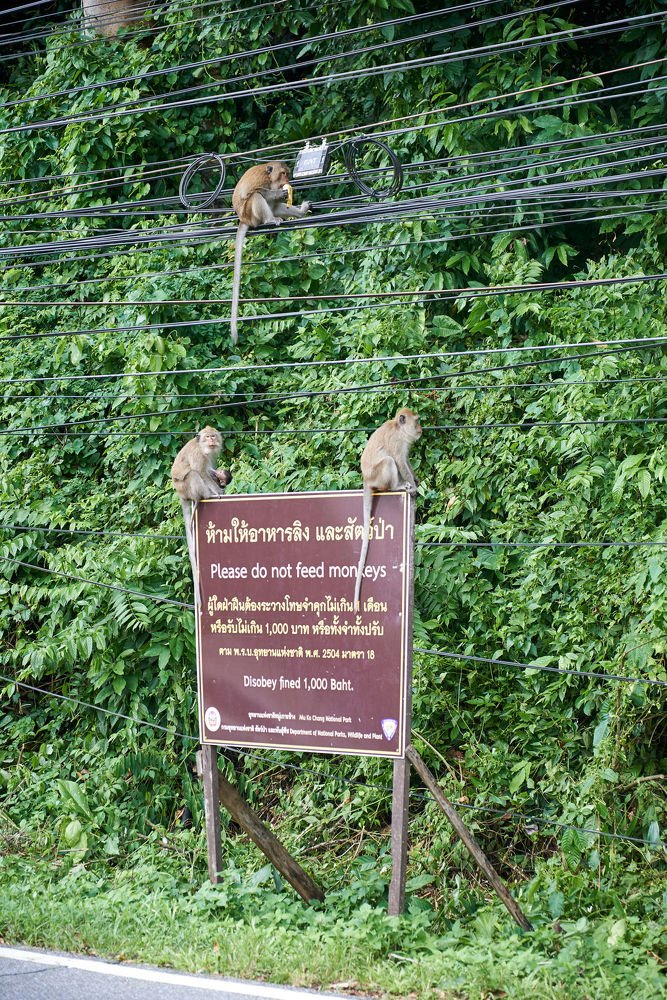 Photograph by Владимир Малевич