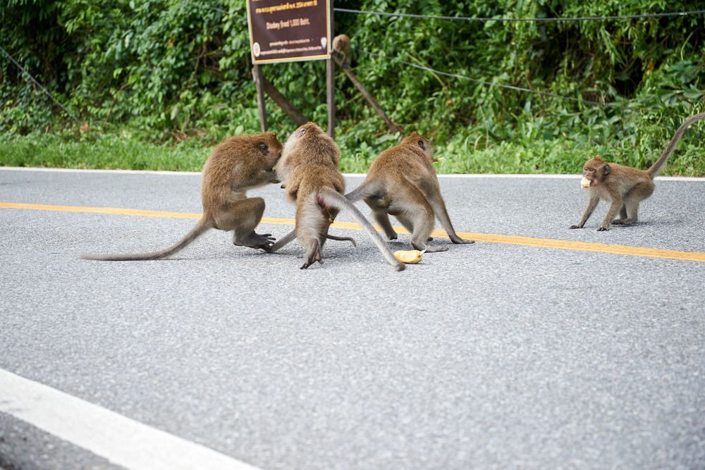Photograph by Владимир Малевич