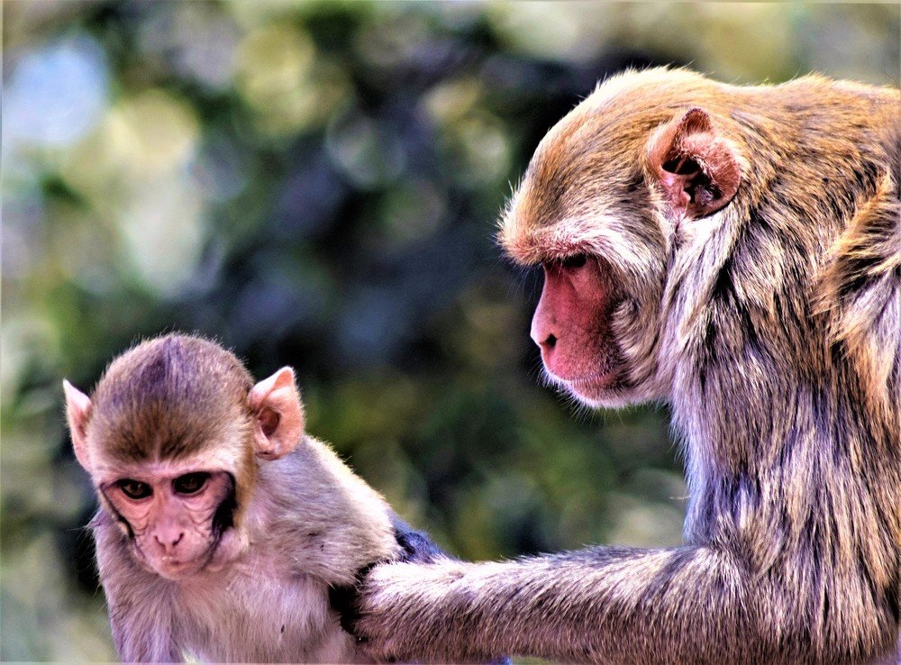 Photograph by Rajeev Sinha