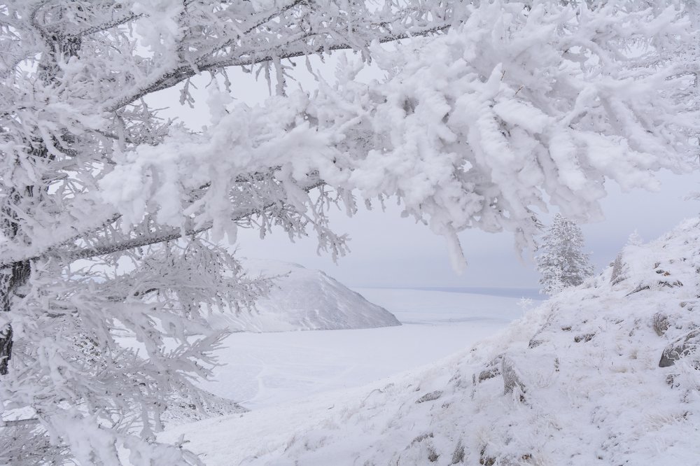 Photograph by Елена Вторушина