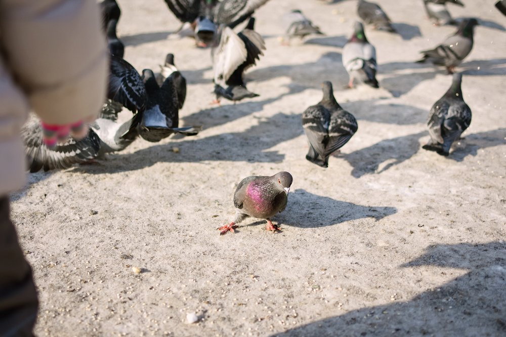 Фотография автора Елена Баклач