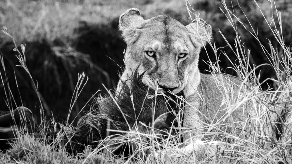 Photograph by Yashwanth Pavanan