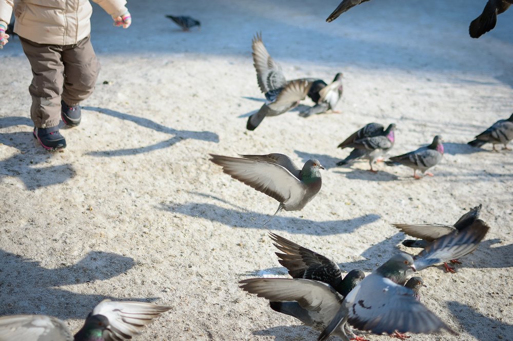 Фотография автора Елена Баклач