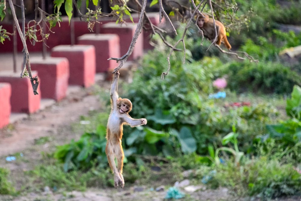 Photograph by Alexey Seafarer