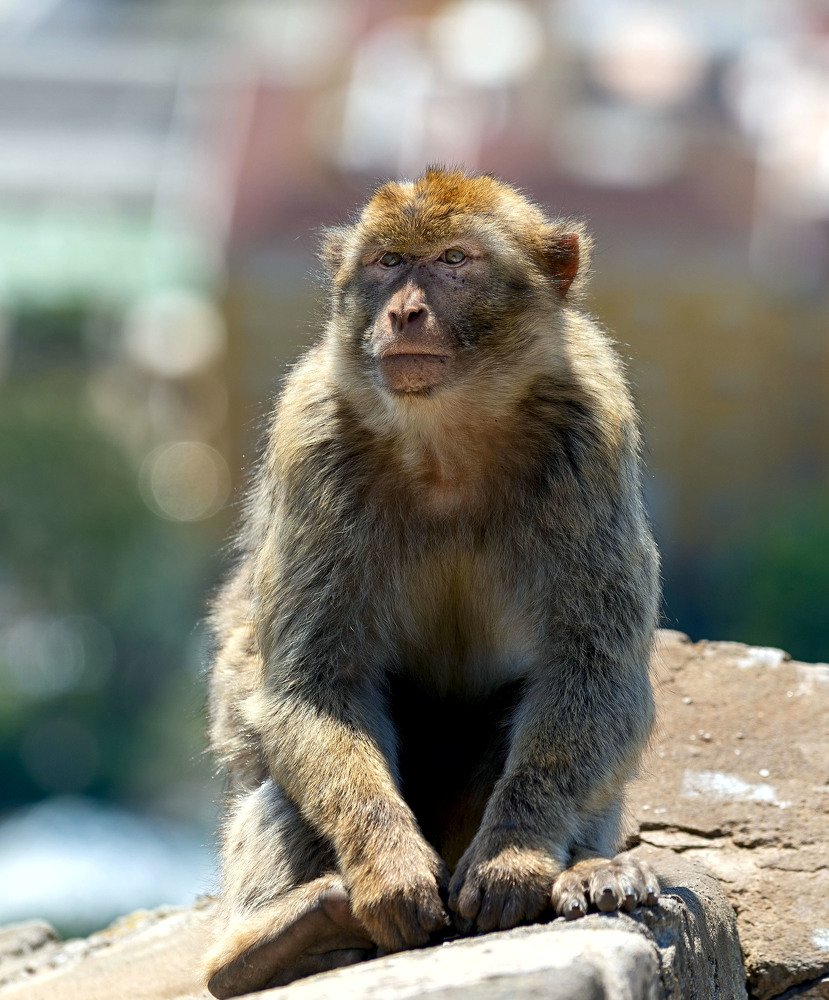 Photograph by Alexey Seafarer