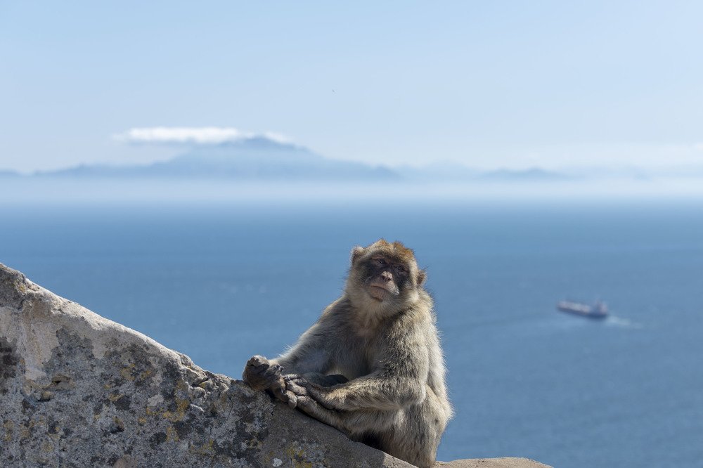 Photograph by Alexey Seafarer