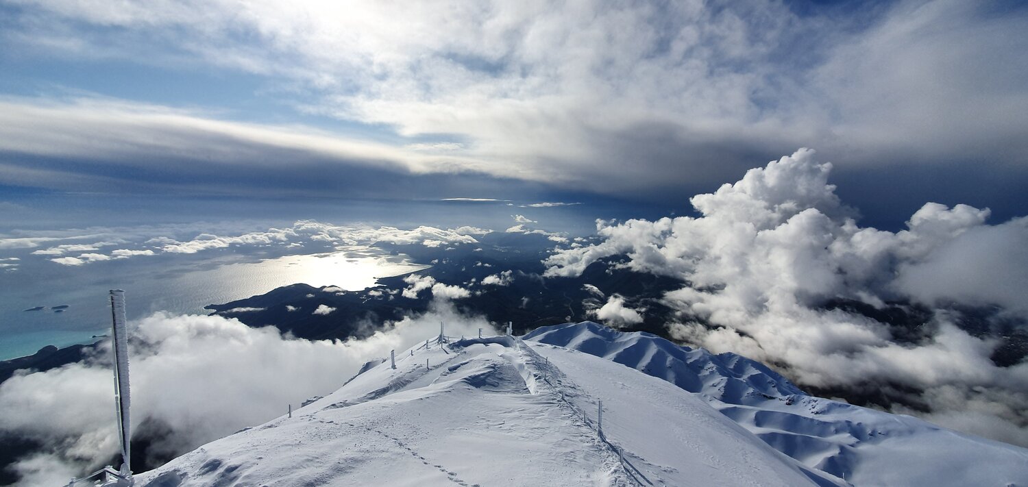 Photo #4130440