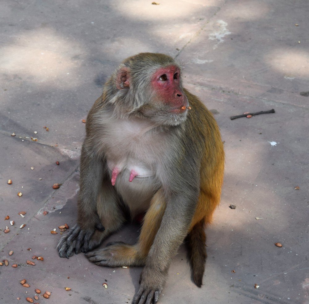 Photograph by Rajeev Sinha