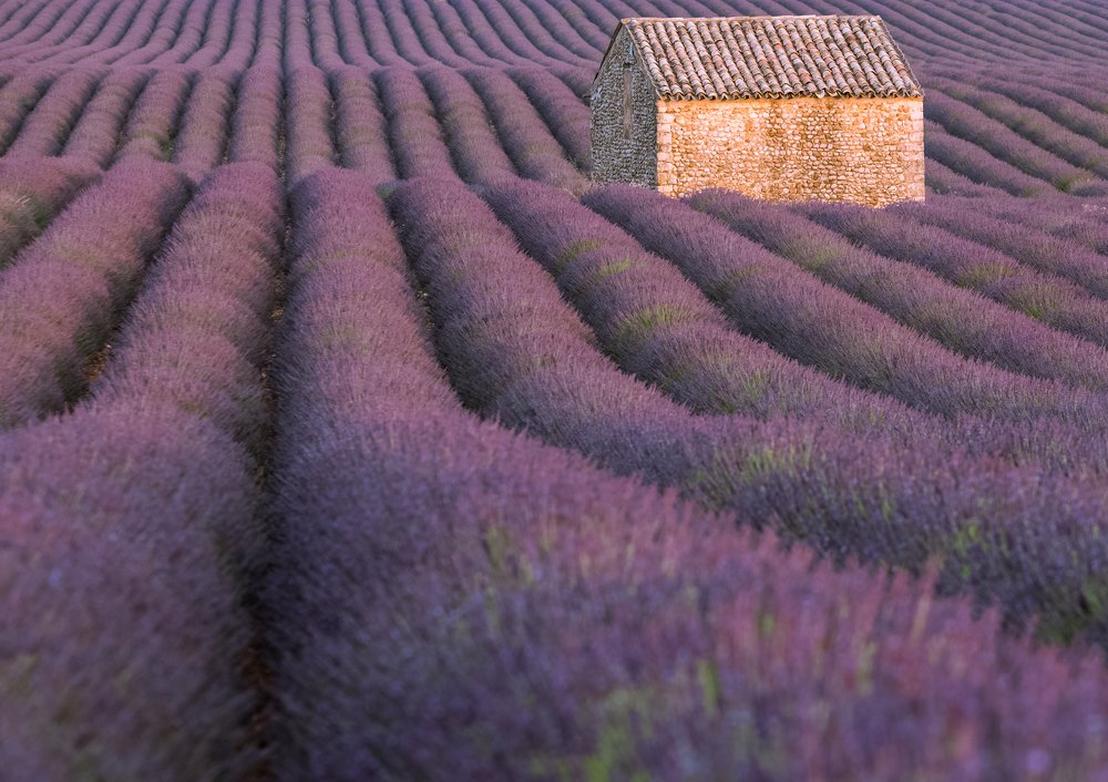 Photograph by Larisa Cekanaviсa