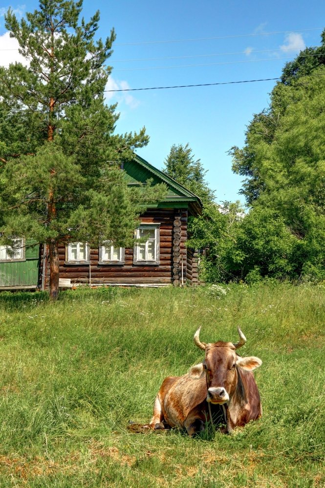 Деревенский пейзаж