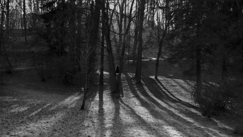 Photograph by Alexander Zvir