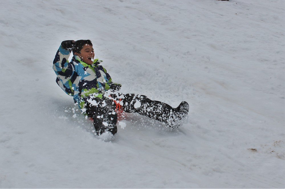 Фотография автора OSMIR ZANETTE