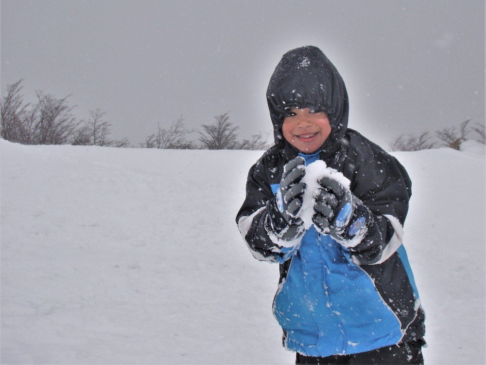 Фотография автора OSMIR ZANETTE
