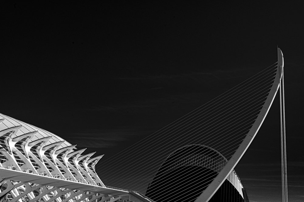 Photograph by Miguel Castells