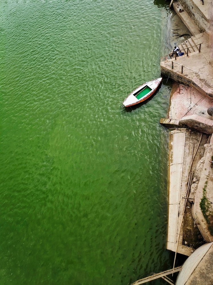 Photograph by Amrit Preetam